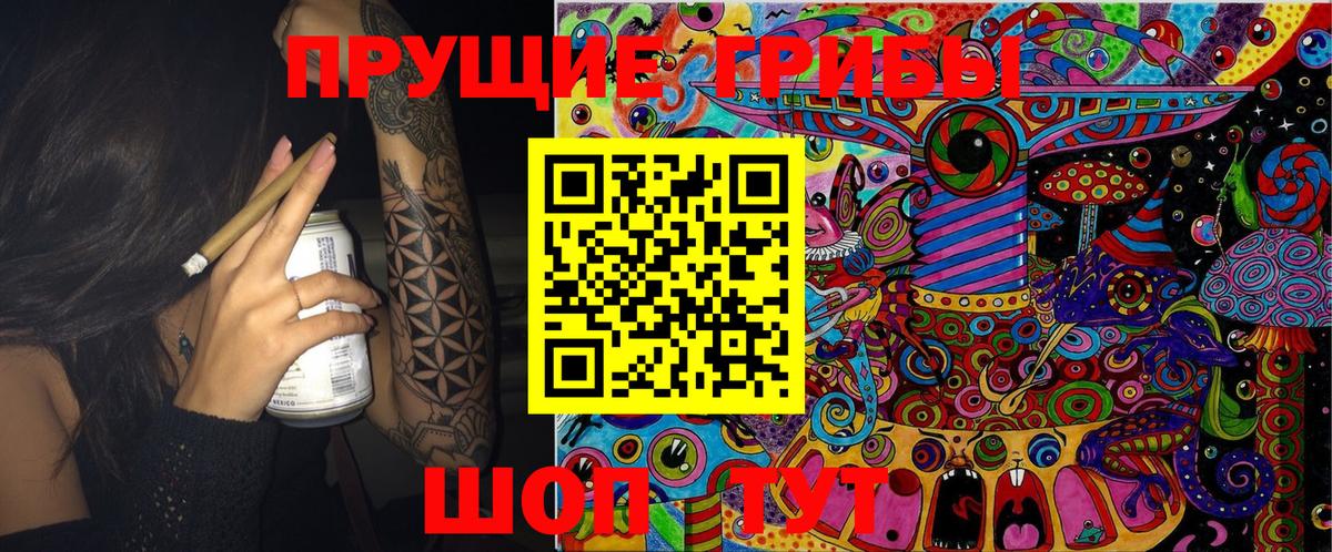 Ижевск  Галлюциногенные грибы Psilocybine cubensis  Вход с VPN  Галлюциногенные грибы Cubensis 