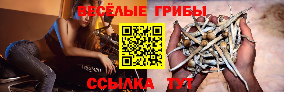 Галлюциногенные грибы прущие грибы Ижевск