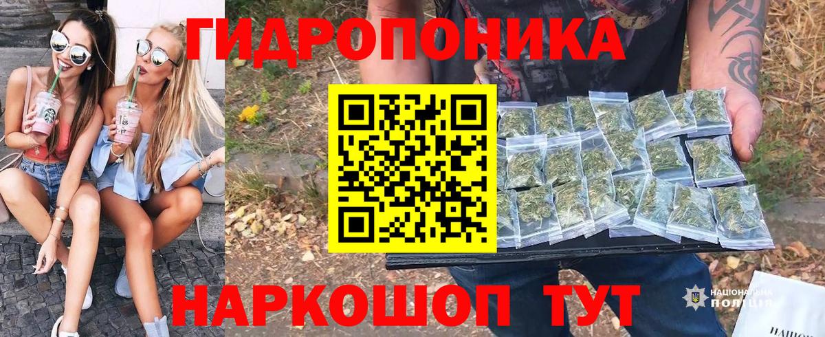 Ижевск  Бошки марихуана сатива  Вход с VPN  Каннабис Bruce Banner 
